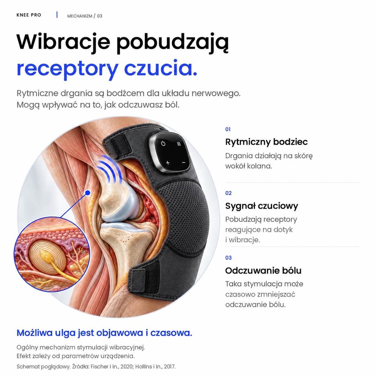 Wibracje pobudzają receptory czucia: rytmiczny bodziec, sygnał czuciowy, odczuwanie bólu