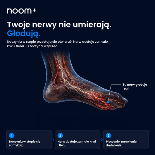 Urządzenie EMS Noom™ - Noom.pl