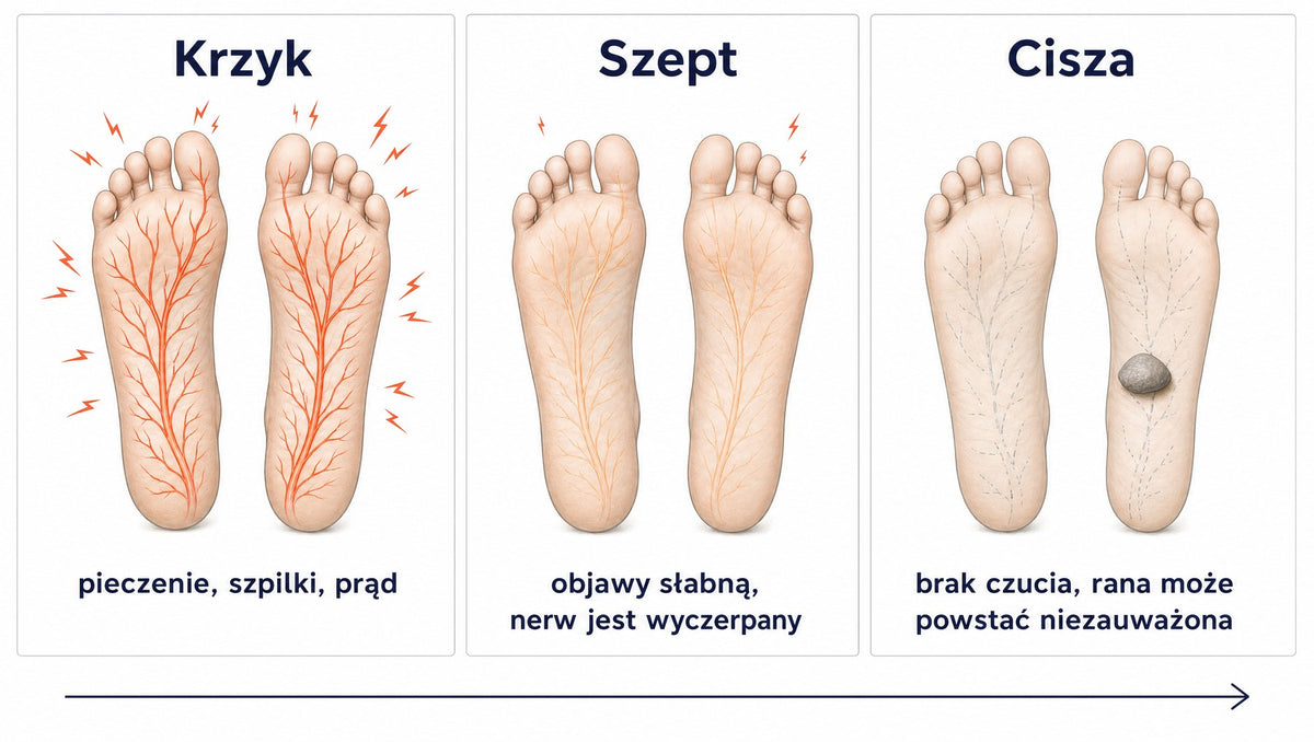 Infografika: trzy fazy neuropatii – krzyk, szept, cisza